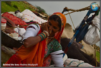 Marwari tribes bundi nomads