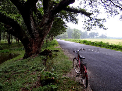 Rural Bengal, Bengal Countryside, Rural Travel