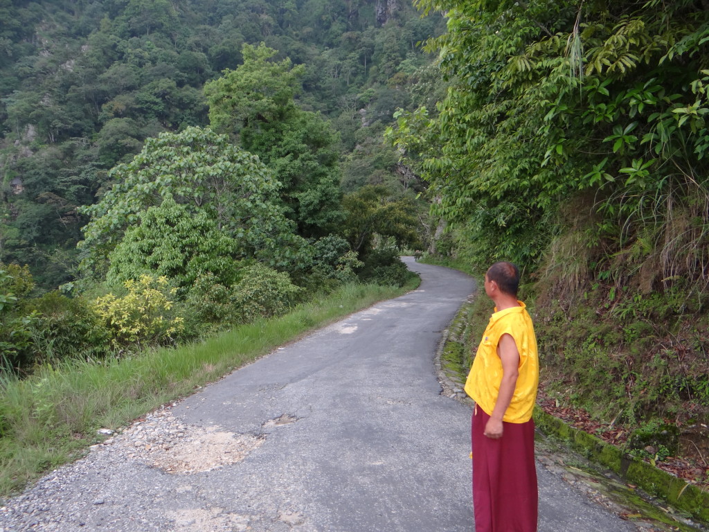 Walk with the monk